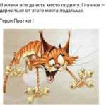 a61e954c6561ec1c5ea76a37457422d9