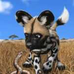 f622dc826da3d6193b422716dd84b2c1--baby-snakes-african-wild-dog